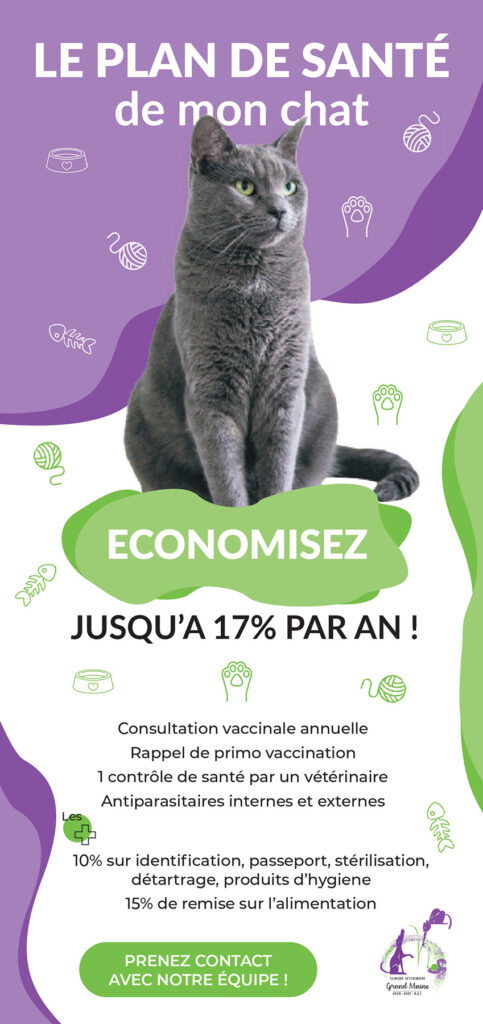 Flyer Plan de Santé Chat