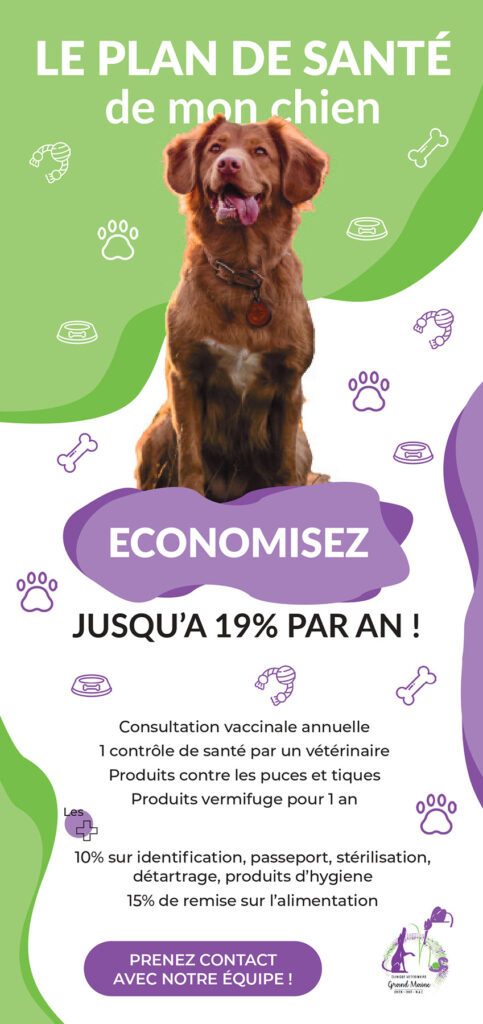 Flyer Plan de Santé Chien