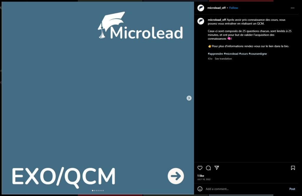 Publication rendu de post Instagram Microlead
